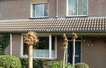 Zaltbommel Zandkampen