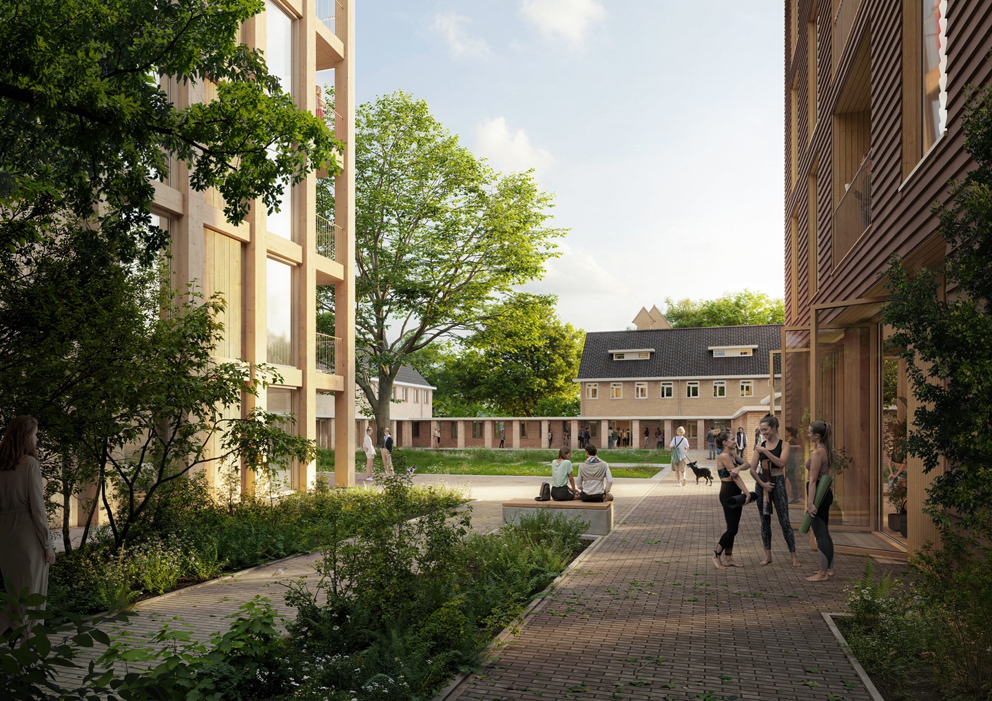 Impressie Klimop (1)