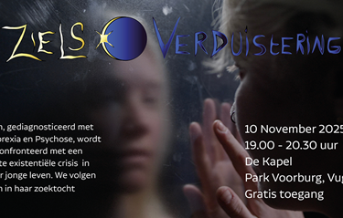 Zielsverduistering Facebook En Linkedin